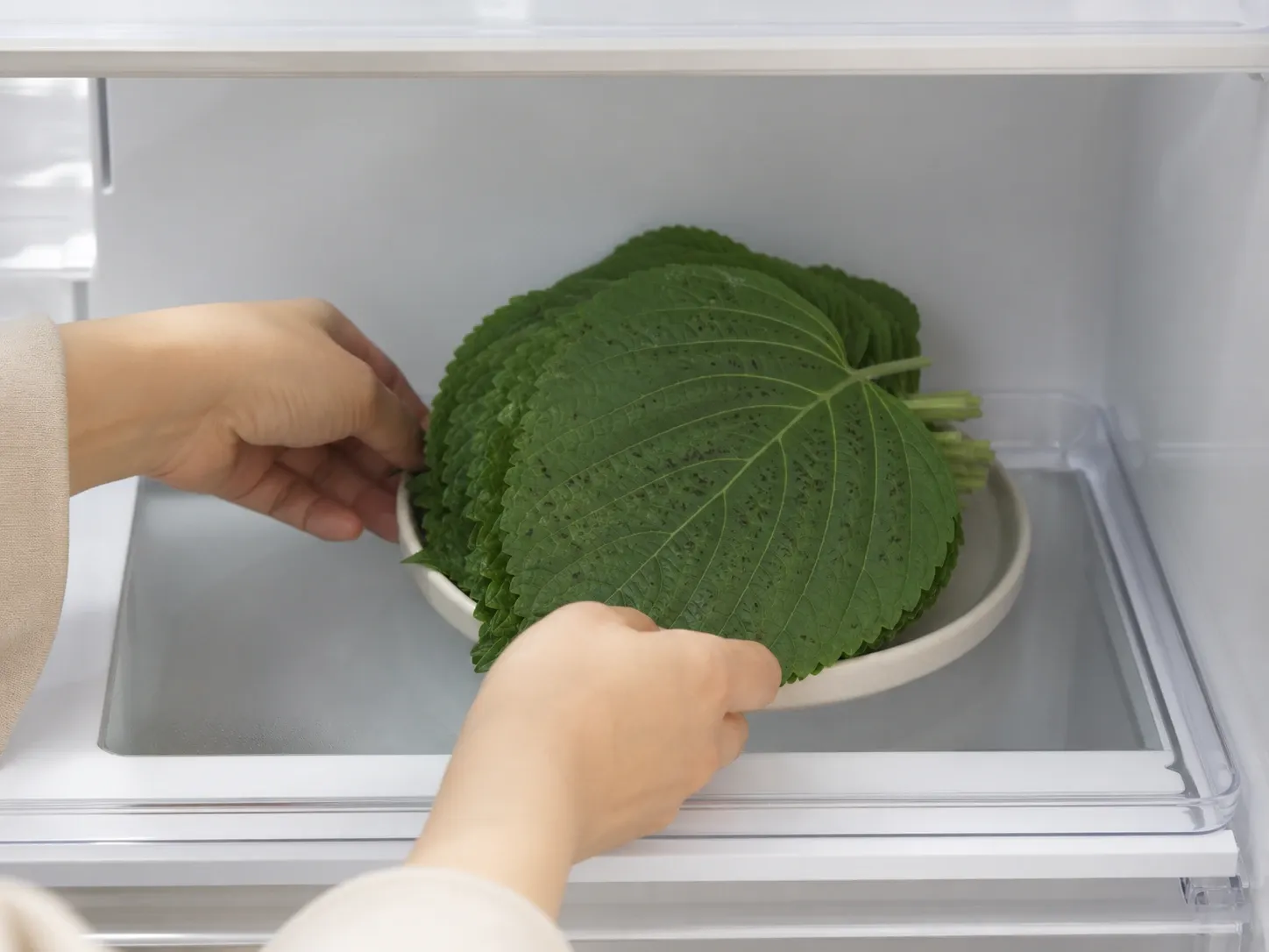 깻잎 냉장고 안쪽(1~4℃)은 피하기