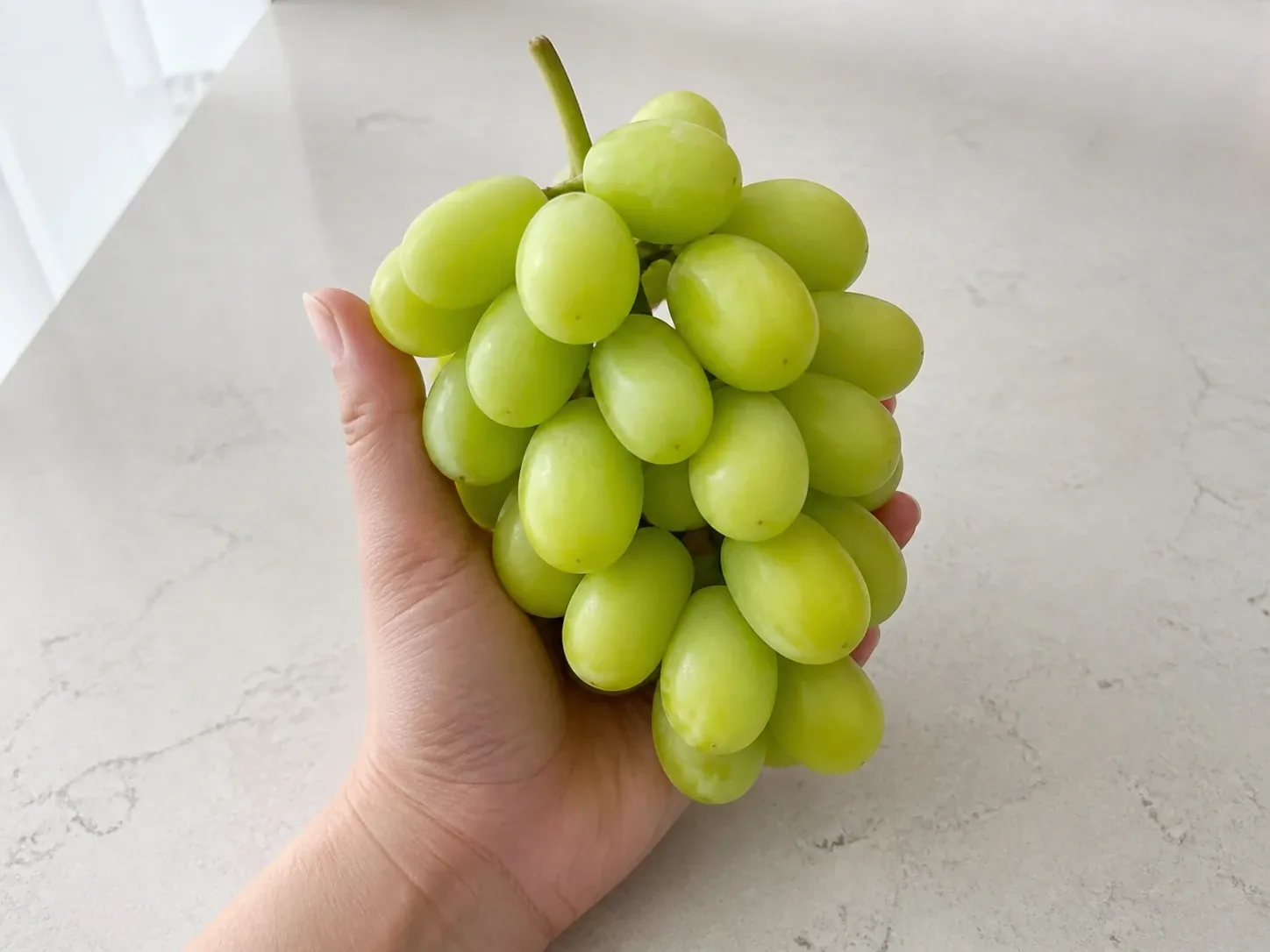 송이는 500~700g, 알은 8~12g이 적당해요 (확대)