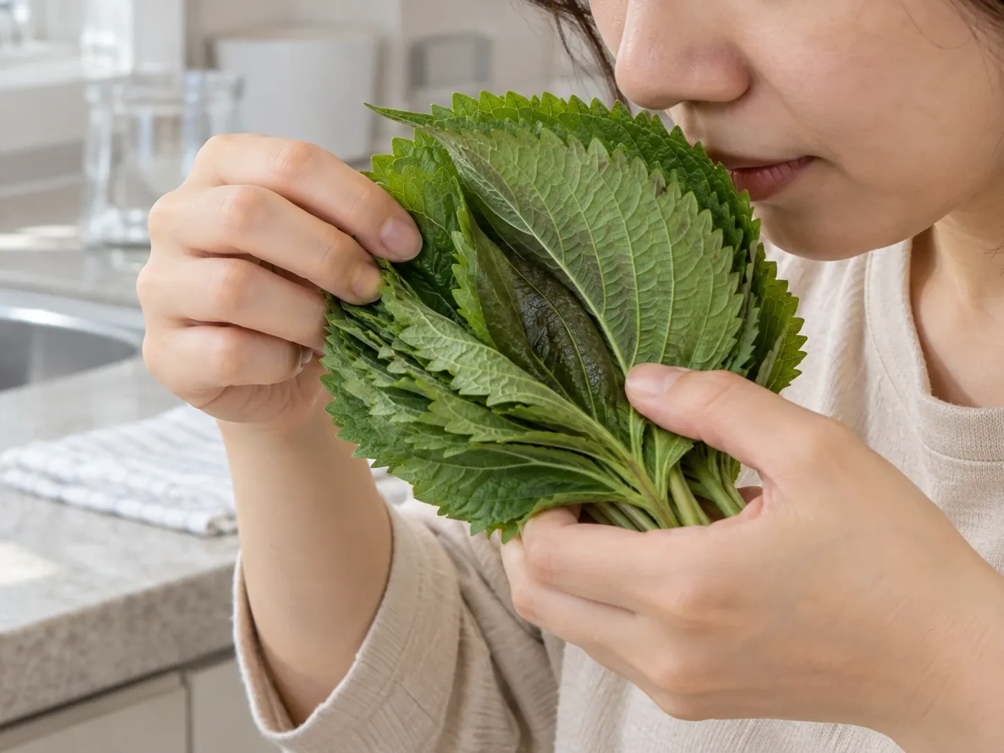 깻잎 검은 반점 생긴 깻잎 — 먹어도 되나 2단계