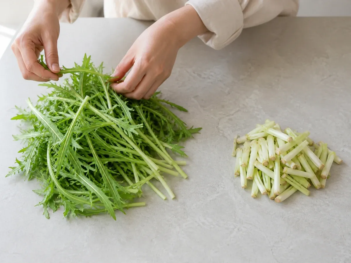 치커리 치커리 뿌리·단단한 밑동 1단계