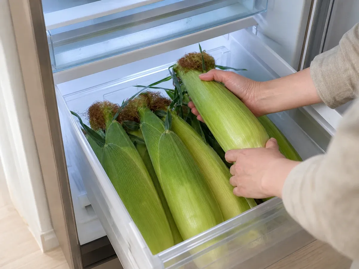 옥수수 껍질째 냉장 보관 (짧게)
