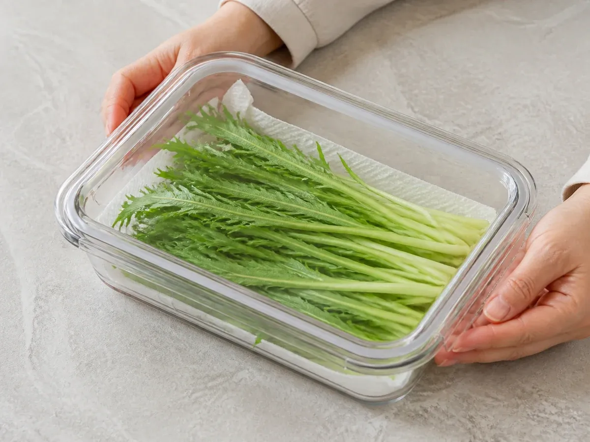 치커리 씻었다면 물기 빼고 밀폐 냉장