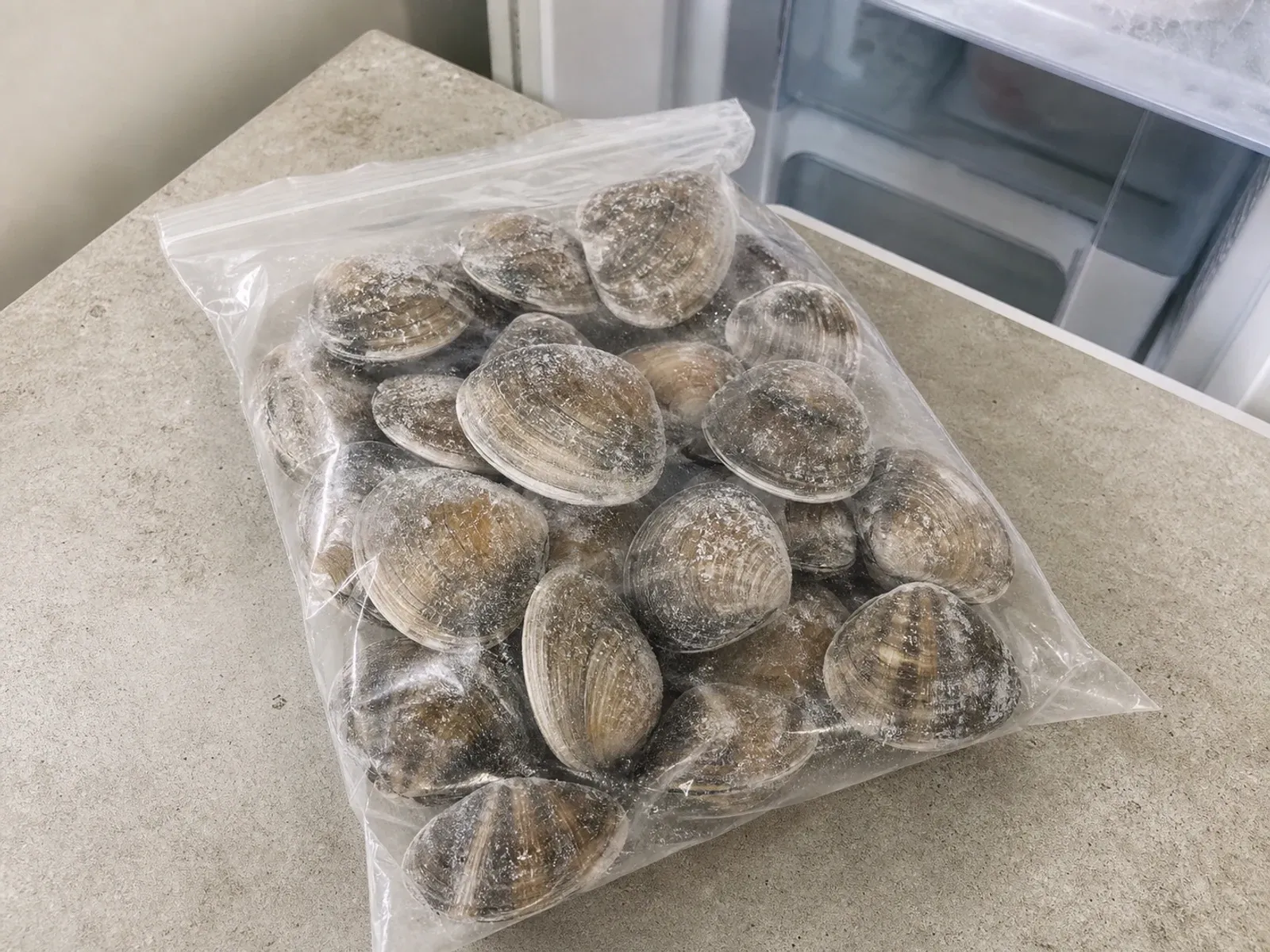바지락 냉동 바지락 보관·해동