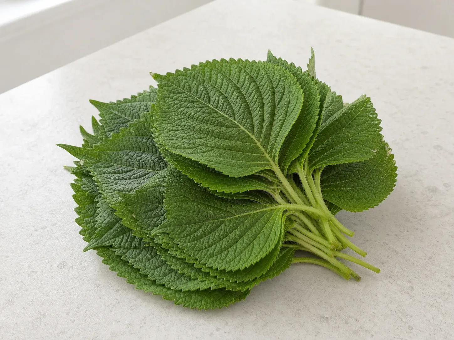 깻잎 대표 이미지