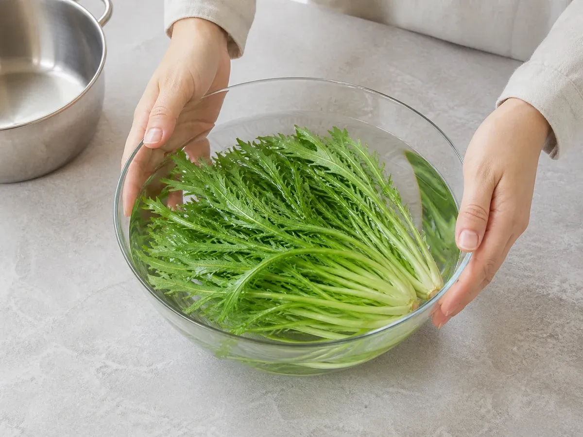 치커리 시들었으면 찬물에 잠깐 담가 되살리기