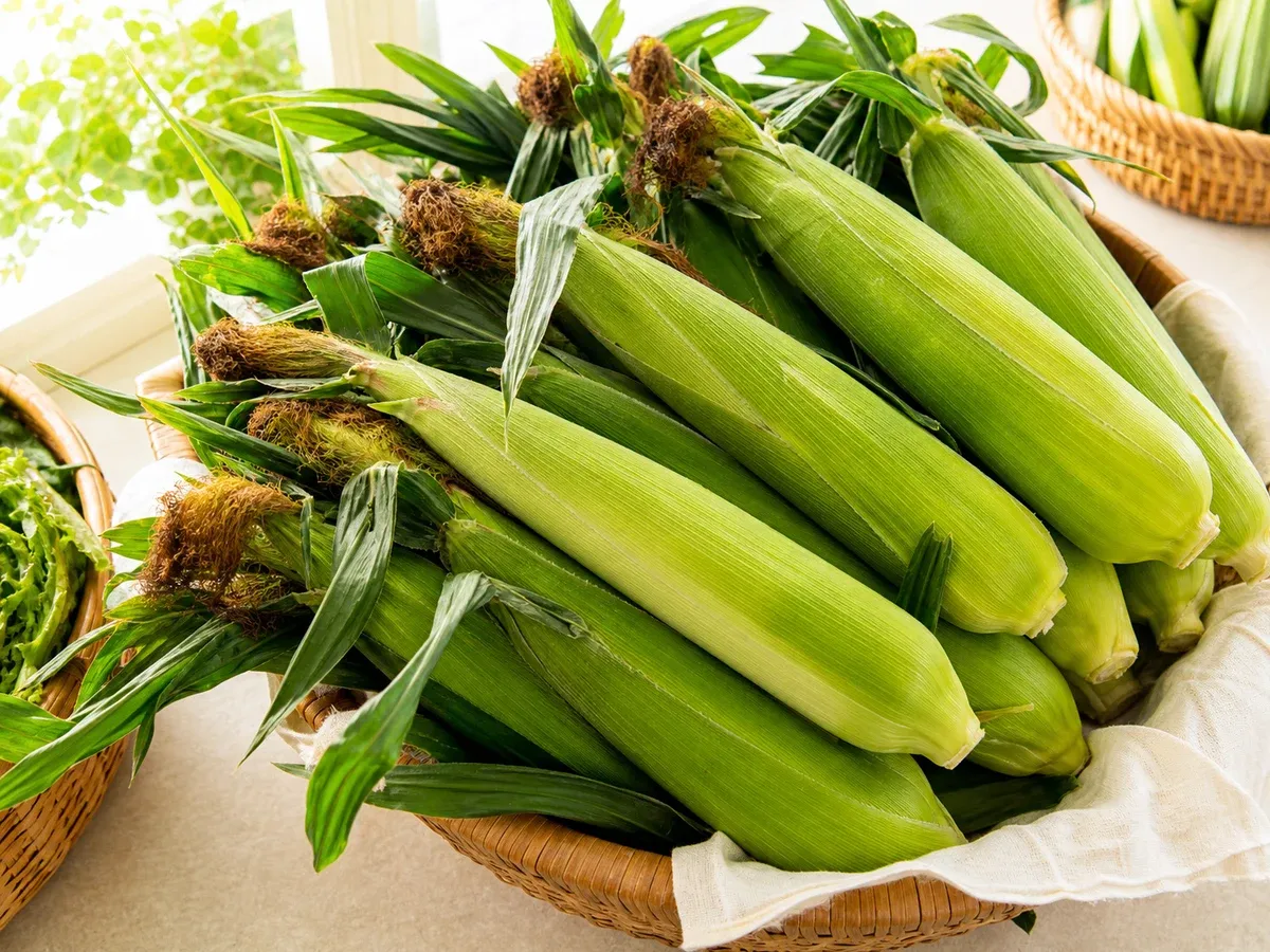 제철에 사기 (확대)