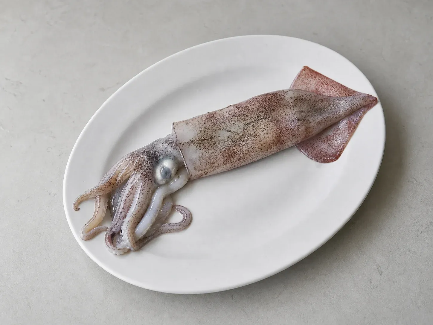 피해야 할 오징어 예시 (확대)