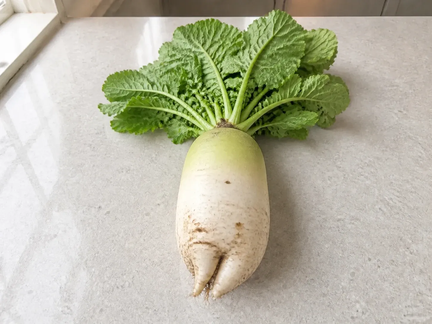 피해야 할 무 예시 (확대)
